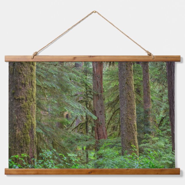 Willamette National Forest | Oregon Wandteppich Mit Holzrahmen (Vorne)
