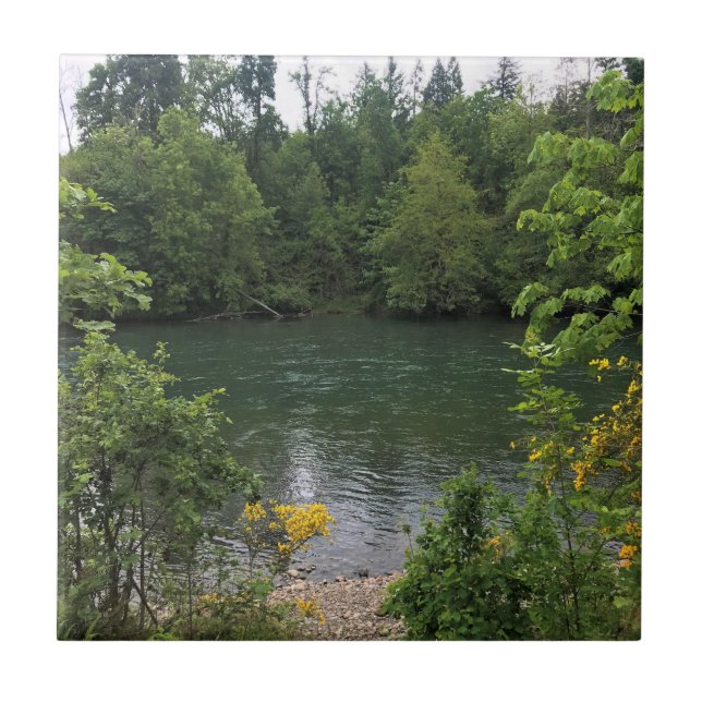Willamette River, Elijah Bristow Staat Park, OR Fliese (Vorderseite)