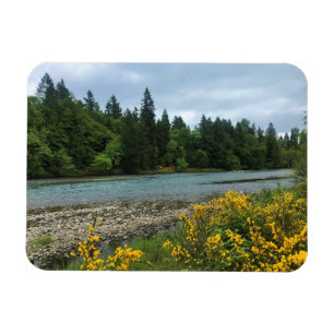 Willamette River, Elijah Bristow Staat Park, OR Magnet