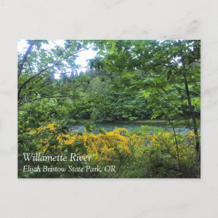 Willamette River, Elijah Bristow Staat Park, OR Po Postkarte