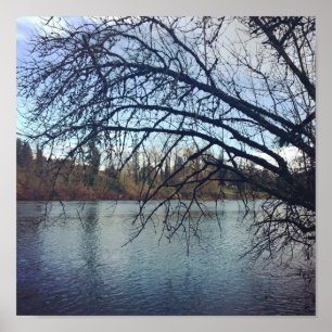 Willamette River Poster
