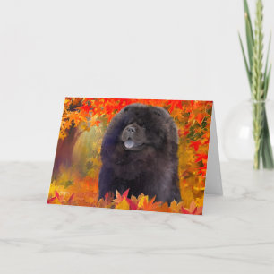 WILLEM ART CARDS KARTE