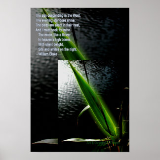 William Blake Zitat-Poster "Stumme Freude" Poster