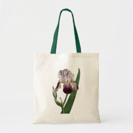 WILLIAM CURTIS BOTANISCHE BLUME ZEICHNEND TRAGETASCHE