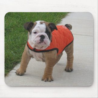 William der englische Bulldoggen-Welpe Mousepad