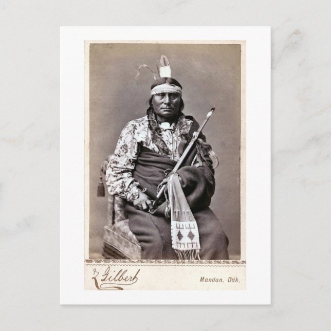 William Gilbert Gaul Native Amerikanische Ureinwoh Postkarte (Vorderseite)