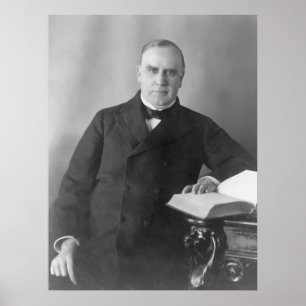 William McKinley Poster