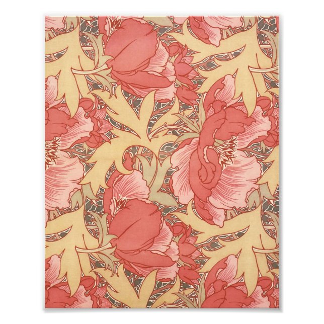 William Morris Poppies Floral Fotodruck (Vorne)