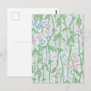 William Morris Süße Erbse Pastell-Blumenkunst Postkarte