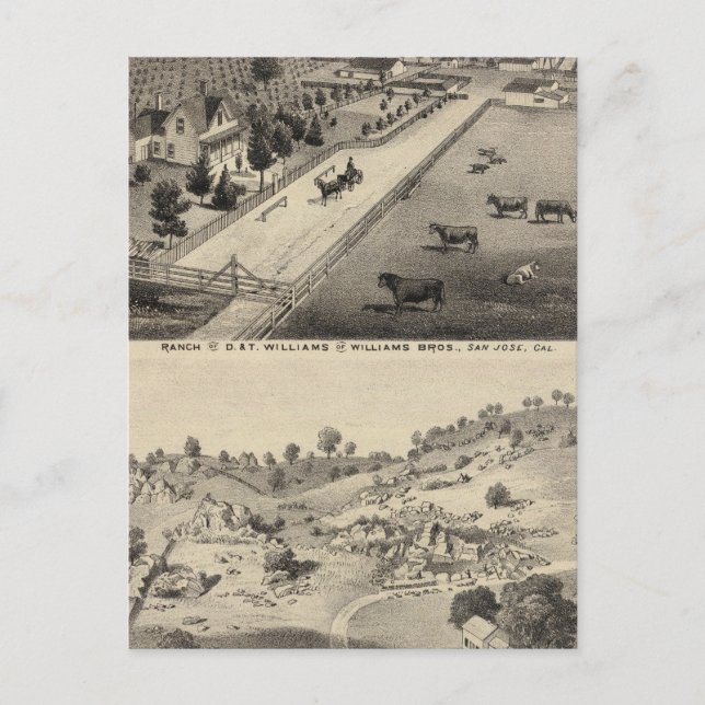 Williams Ranch, Goodrich-Steinbruch Postkarte (Vorderseite)