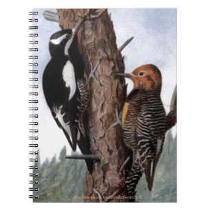 "Williamson's Sapsucker's" Notizblock