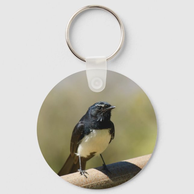 Willie Wagtail Schlüsselanhänger (Vorderseite)