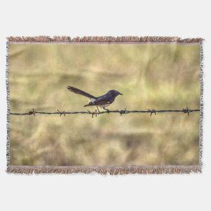 WILLIEWAGTAIL AUF ZAUN-QUEENSLAND-KUNST-EFFEKTEN DECKE