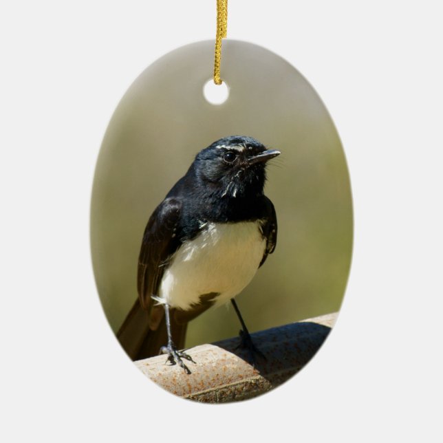 WillieWagtail Keramikornament (Vorne)