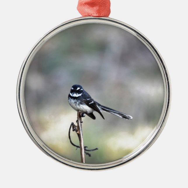 WILLIEWAGTAIL LÄNDLICHES QUEENSLAND AUSTRALIEN ORNAMENT AUS METALL (Vorne)