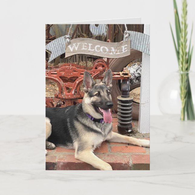 Willkommen bei der Pension Lucky Dog Karte (Vorderseite)