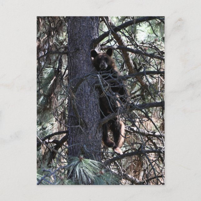 Willkommen bei Sisters Postkarte (Vorderseite)