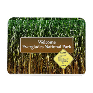 Willkommen Everglades Nationalpark, Gator Crossing Magnet