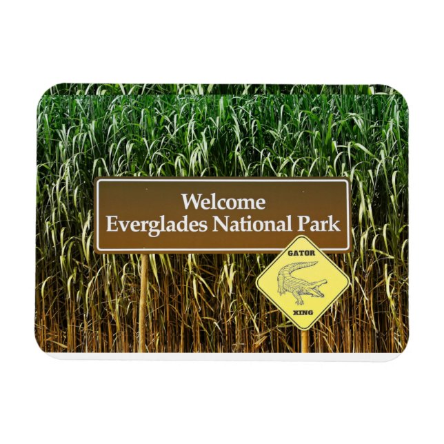 Willkommen Everglades Nationalpark, Gator Crossing Magnet (Horizontal)