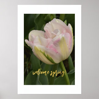 Willkommen Frühling! Pink Tulip Foil Text Print Po Foliendrucke
