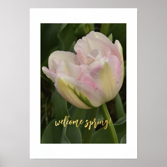 Willkommen Frühling! Pink Tulip Foil Text Print Po Foliendrucke (Vorderseite)