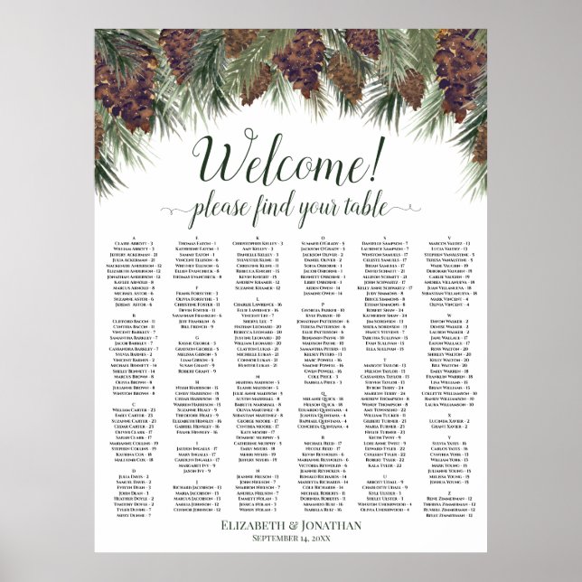 Willkommen Hochzeits-Sitzplan Rustikale Pinienzapf Poster (Vorne)