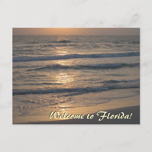 Willkommen in Florida Postkarte (Vorderseite)