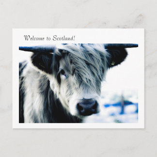Willkommen in Schottland! Postkarte