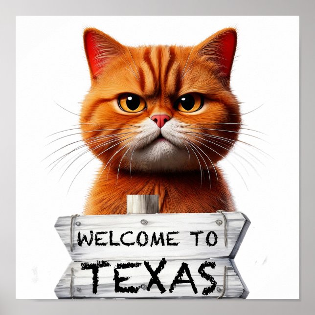 Willkommen in Texas Poster (Vorne)