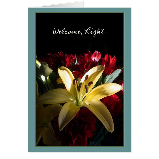 Willkommen, Licht/Bienvenida, luz (Vorne)
