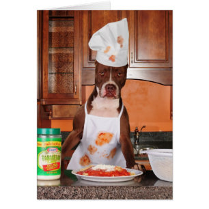 Willkommen zu meiner Küche