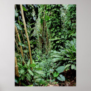 Willkommen zum Dschungel Poster