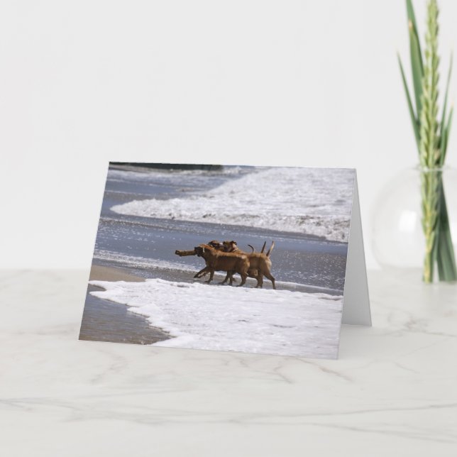 Willkommen zum Team! Karte (Vorderseite)