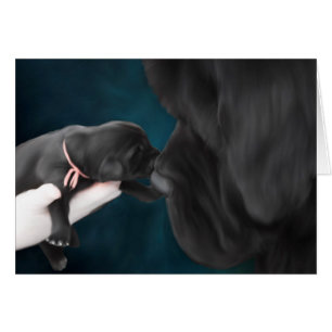 Willkommen zur Weltleeren Karte