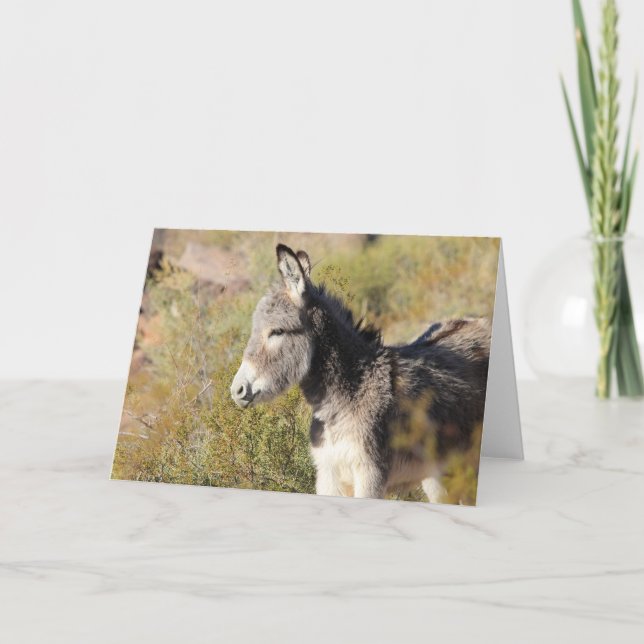 Willkommensgruß des Wildesels Karte (Vorderseite)