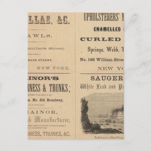 Willouchby H Reed and Company Postkarte (Vorderseite)
