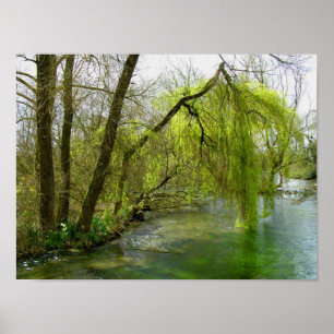 Willow am River Test Poster