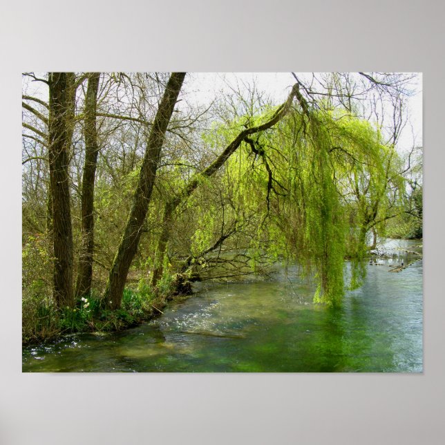 Willow am River Test Poster (Vorne)