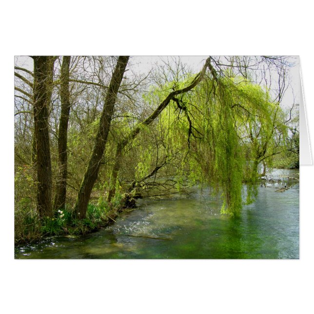 Willow auf der Flusstestkarte (Vorderseite (Horizontal))
