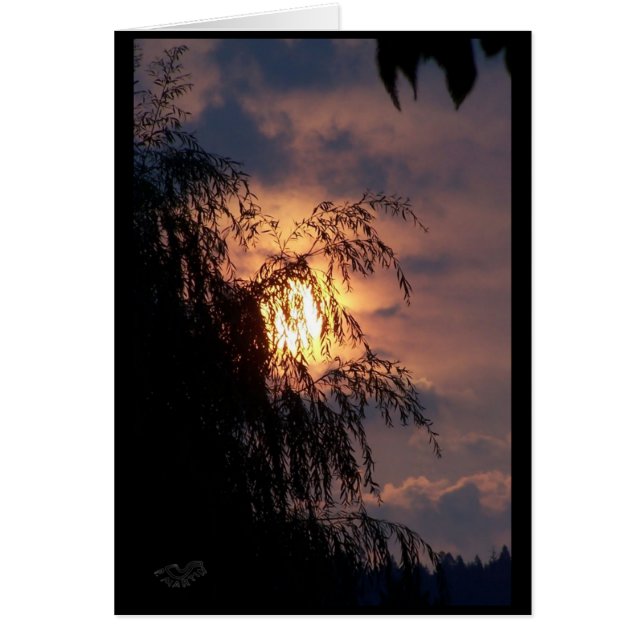Willow bei Sunrise Card weinen (Vorne)
