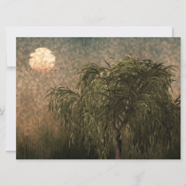 Willow bei Sunset (Vorderseite)