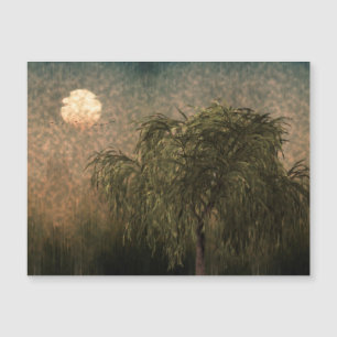 Willow bei Sunset Magnetkarte