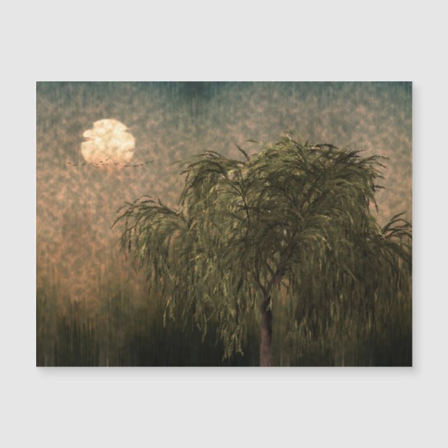 Willow bei Sunset Magnetkarte (Vorderseite)