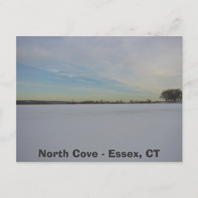 Willow Point Cove, North Cove, Essex, CT Postkarte (Vorderseite)