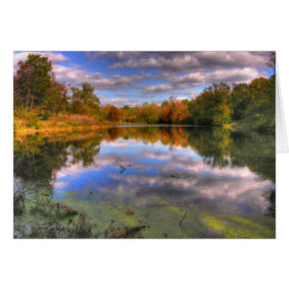 Willow Pond