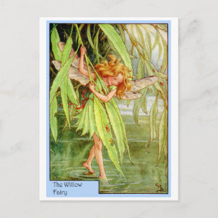 Willow Tree Fairy Postkarte