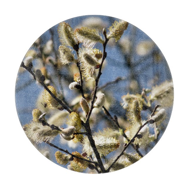 WILLOW TREM SCHNEIDEBRETT (Vorderseite)