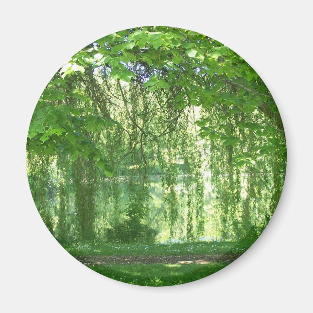 Willows mit Teich Magnet (Vorne)