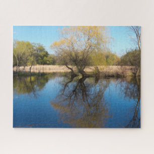 Willows Reeds and Pond im Frühling