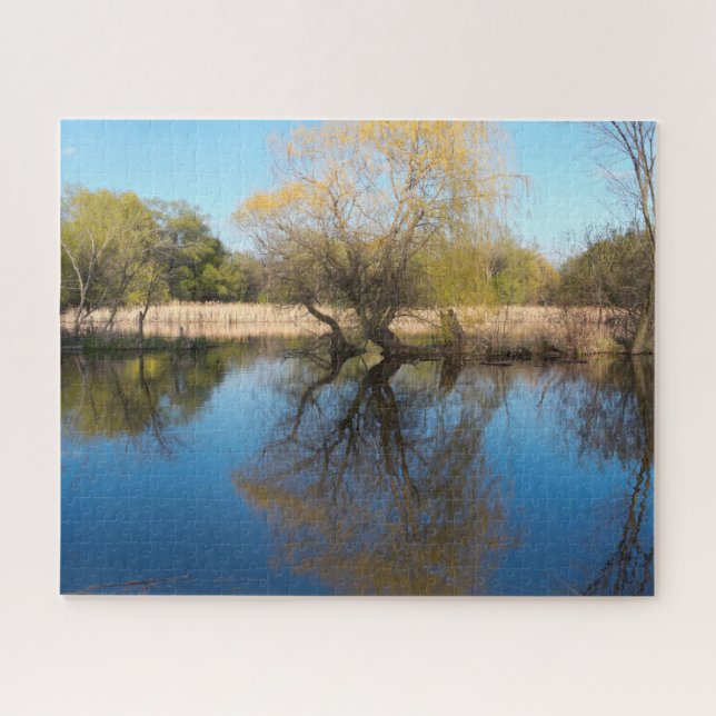 Willows Reeds and Pond im Frühling (Horizontal)